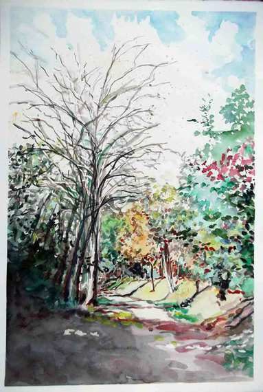 aquarelle : chemin de terre à Balma image de paysage