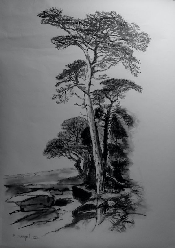 fusain sur papier format 70 cm x 100 cm image de paysage