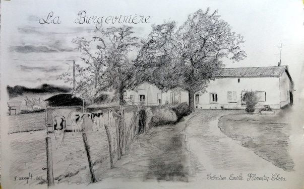 La Burgevinière, crayon graphite image de paysage